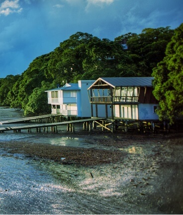 Lake house on stilts by the water surrounded by trees